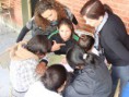 /album/jornada-dia-del-estudiante-y-dia-de-la-primavera/jornada-53-copiar-jpg/